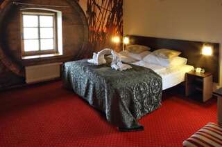 Отель Hotel Spichrz Borcz Двухместный номер с 1 кроватью или 2 отдельными кроватями-1