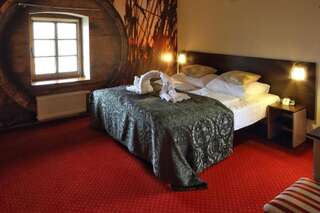 Отель Hotel Spichrz Borcz Двухместный номер с 1 кроватью или 2 отдельными кроватями-6